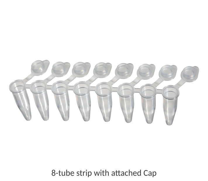 0.2 ml 8-Strip PCR Tube 1000-Tube-125 Strip