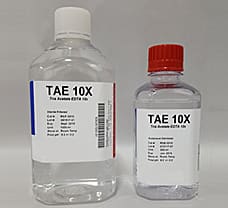 10x TAE Buffer 500 ML